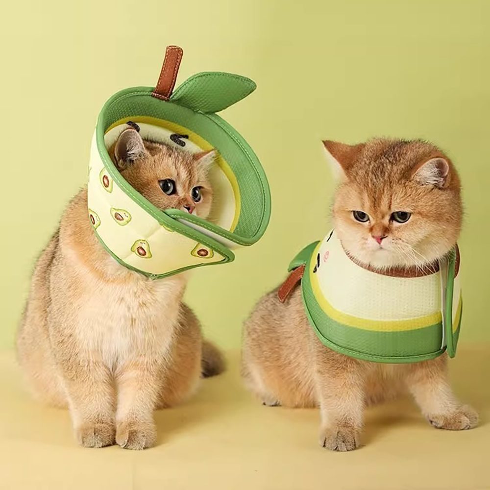 Cat Cone Adjustable Collar