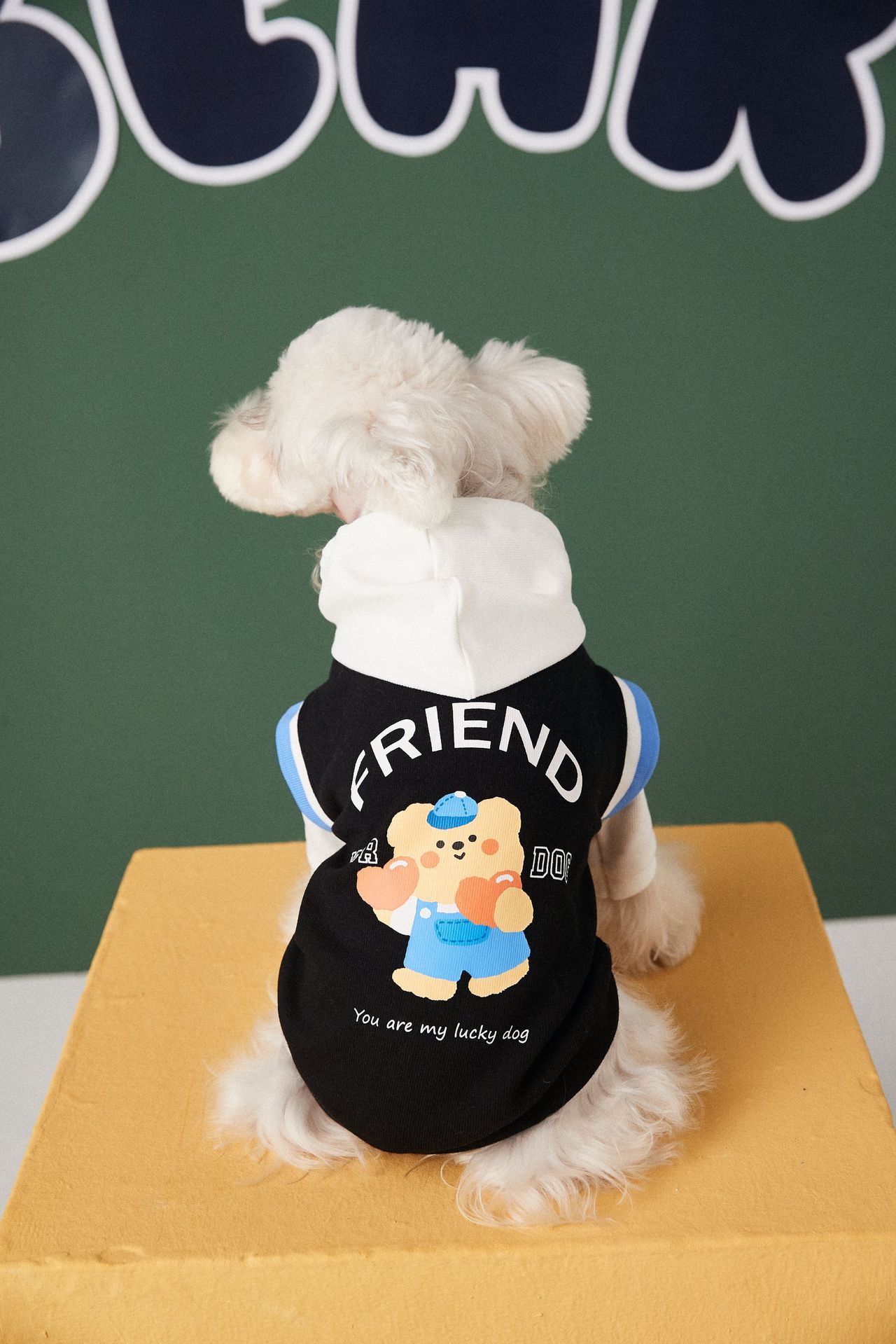 Fashion Stitching Contrast Color Fake Two-piece Puppy Sweater - Image 3