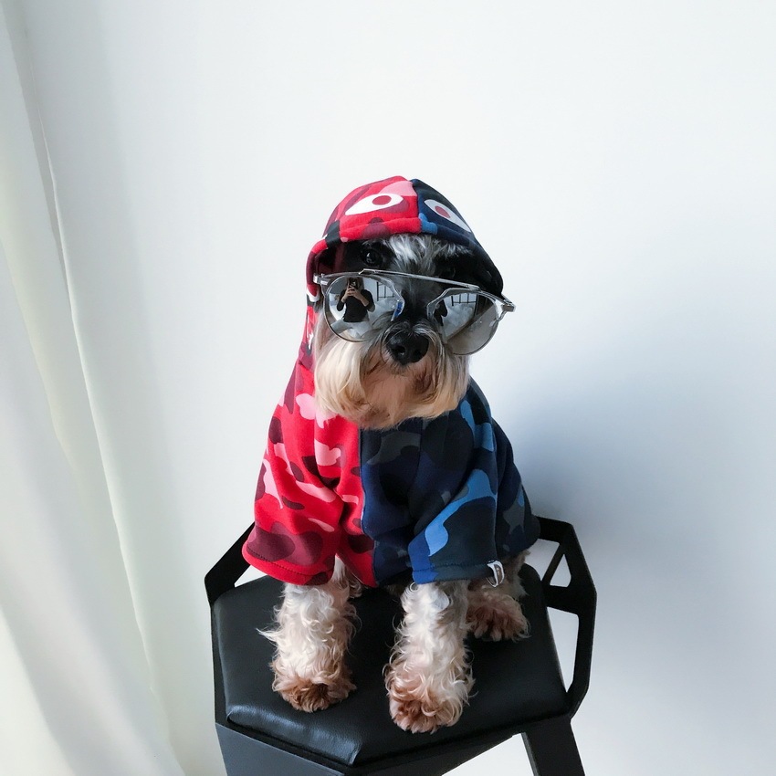 Pupreme Pawmain French Bulldog Sweater - Image 5