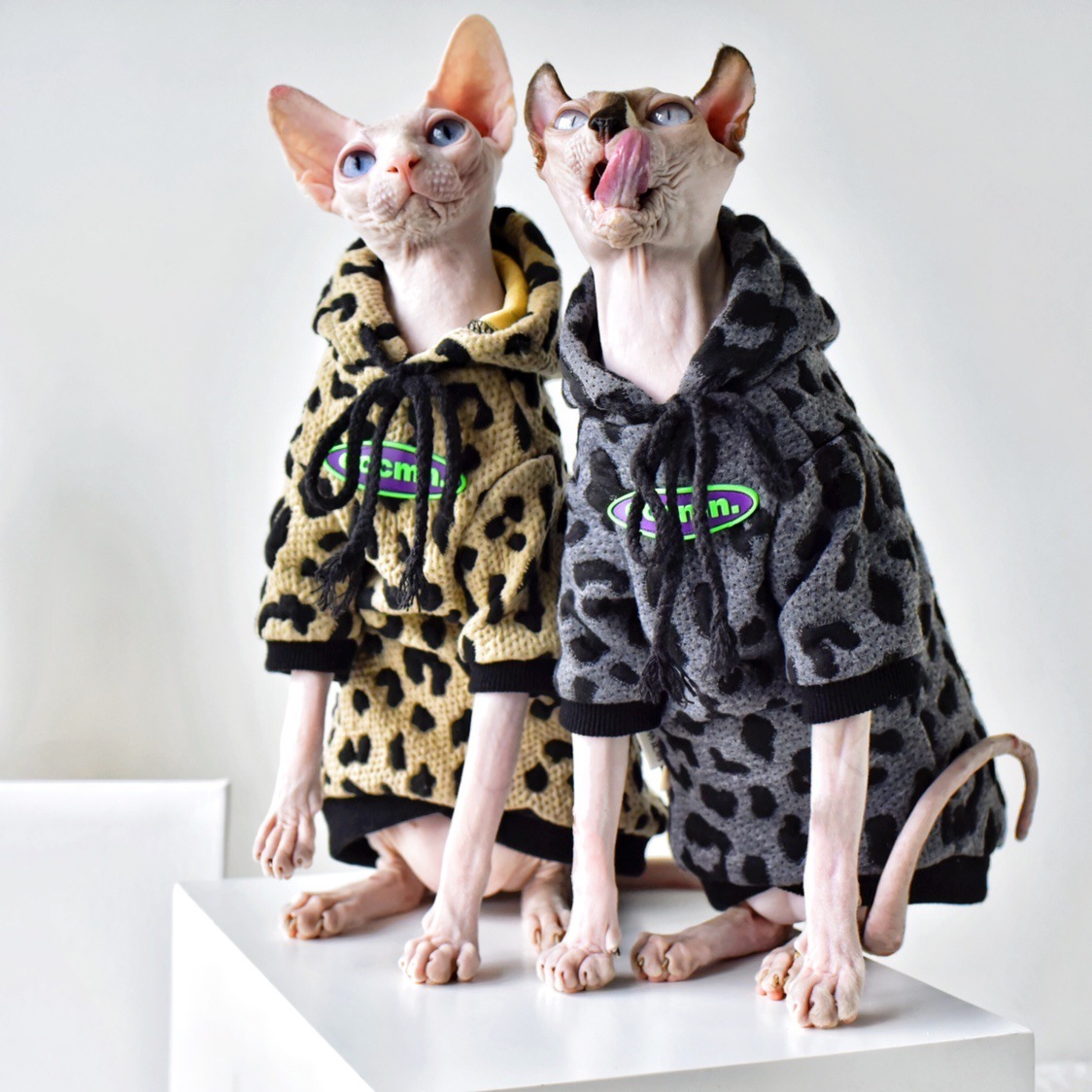 Light Cat Cotton Camouflage Sweater - Image 5