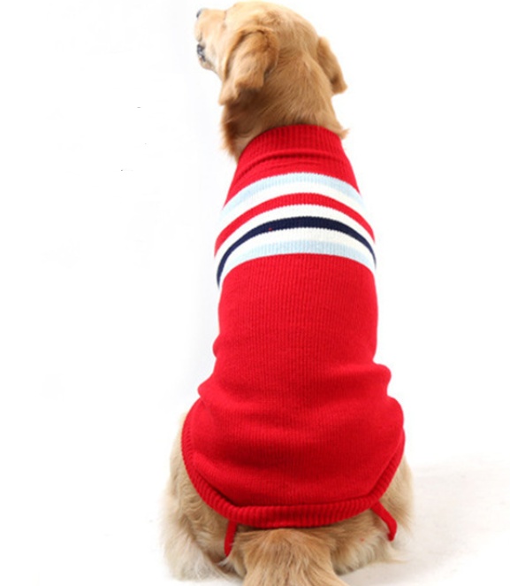 Puppy Stripe Sweater - Image 4