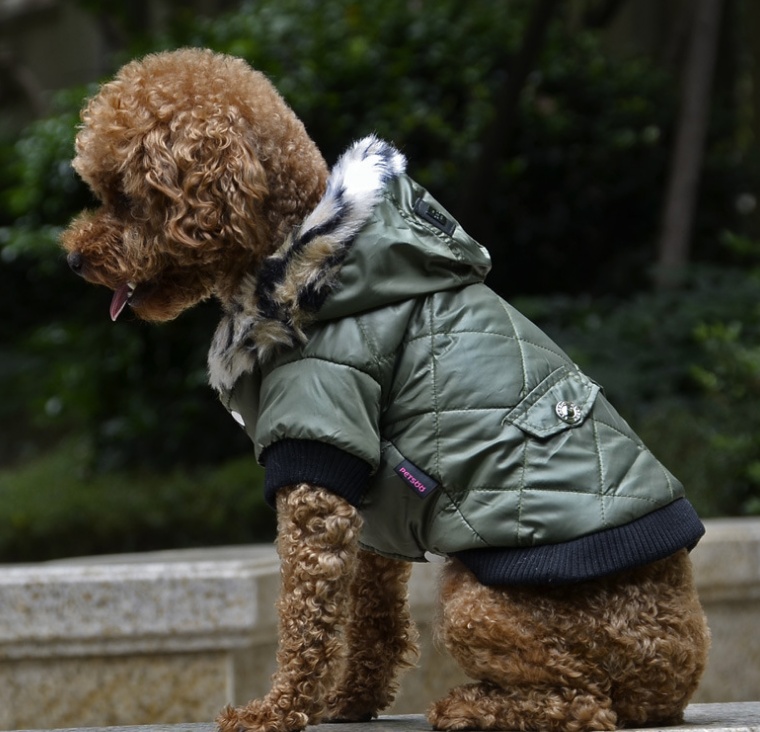 Cross-border puppy fur collar jacket