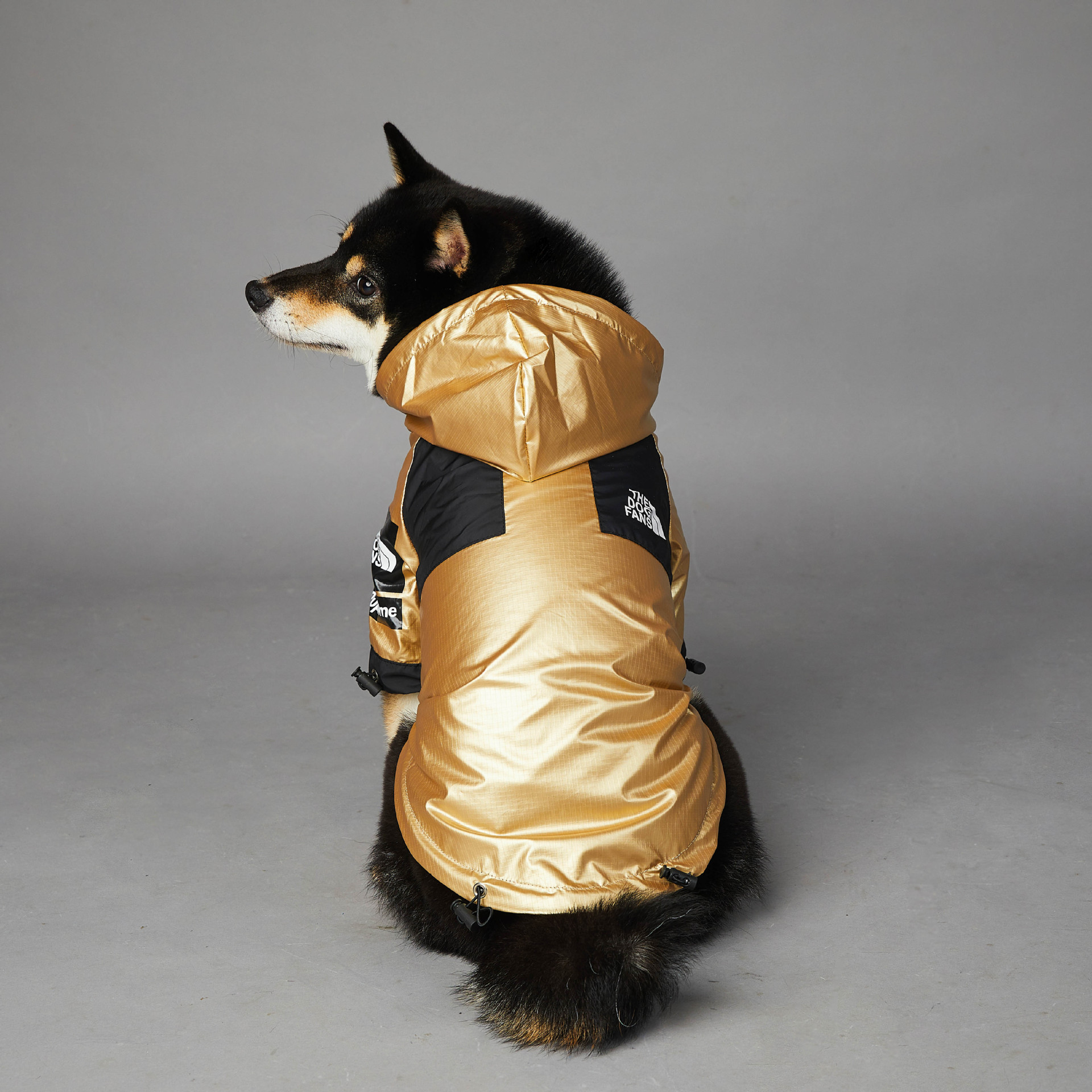 Puppy Jacket - The Dog Fans - Image 2