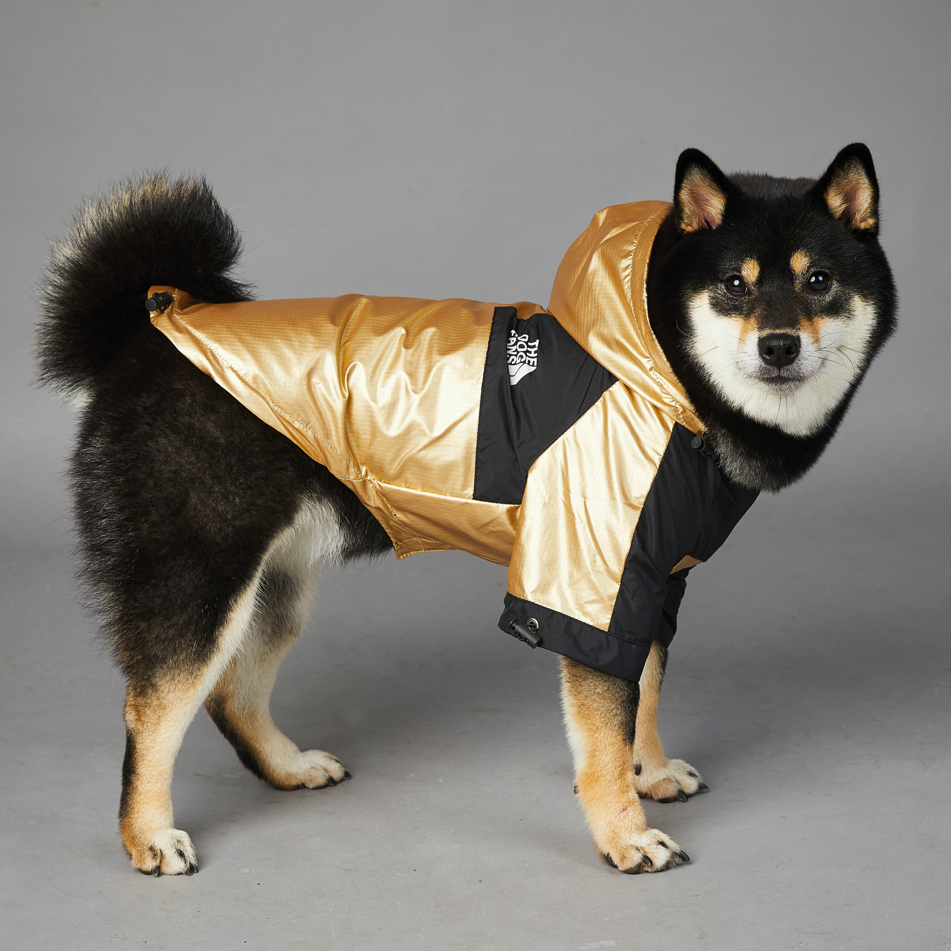 Puppy Jacket - The Dog Fans - Image 5