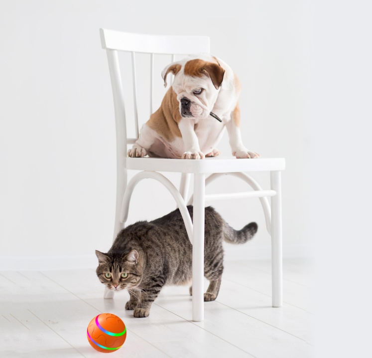 Rainbow Intelligent Ball