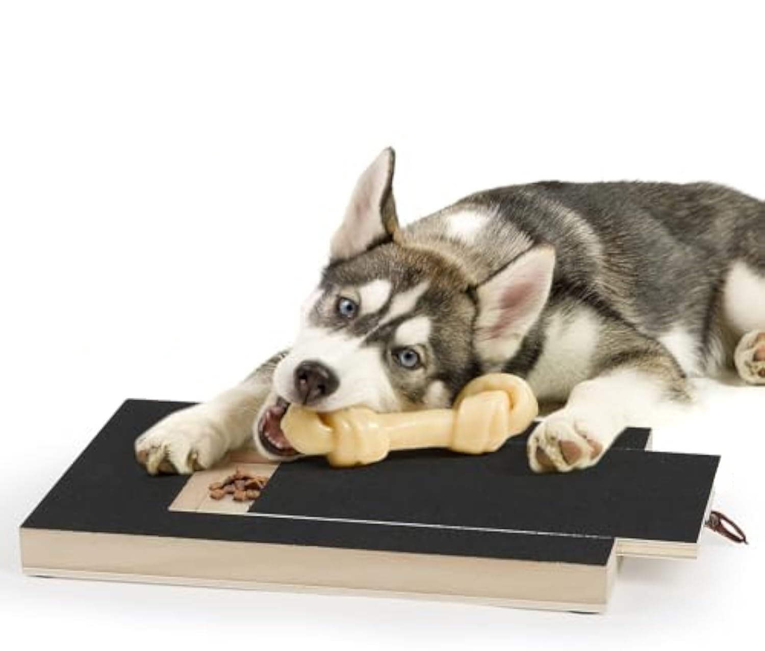 Dog Nail Trimmer Board