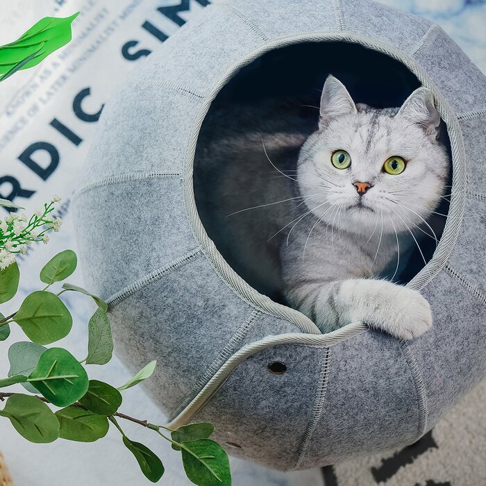 Cat Tunnel Foldable Indoor Cave - Image 4