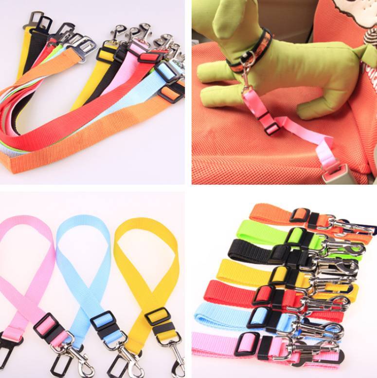 Fixed Strap Polyester Puppy Strap - Image 7