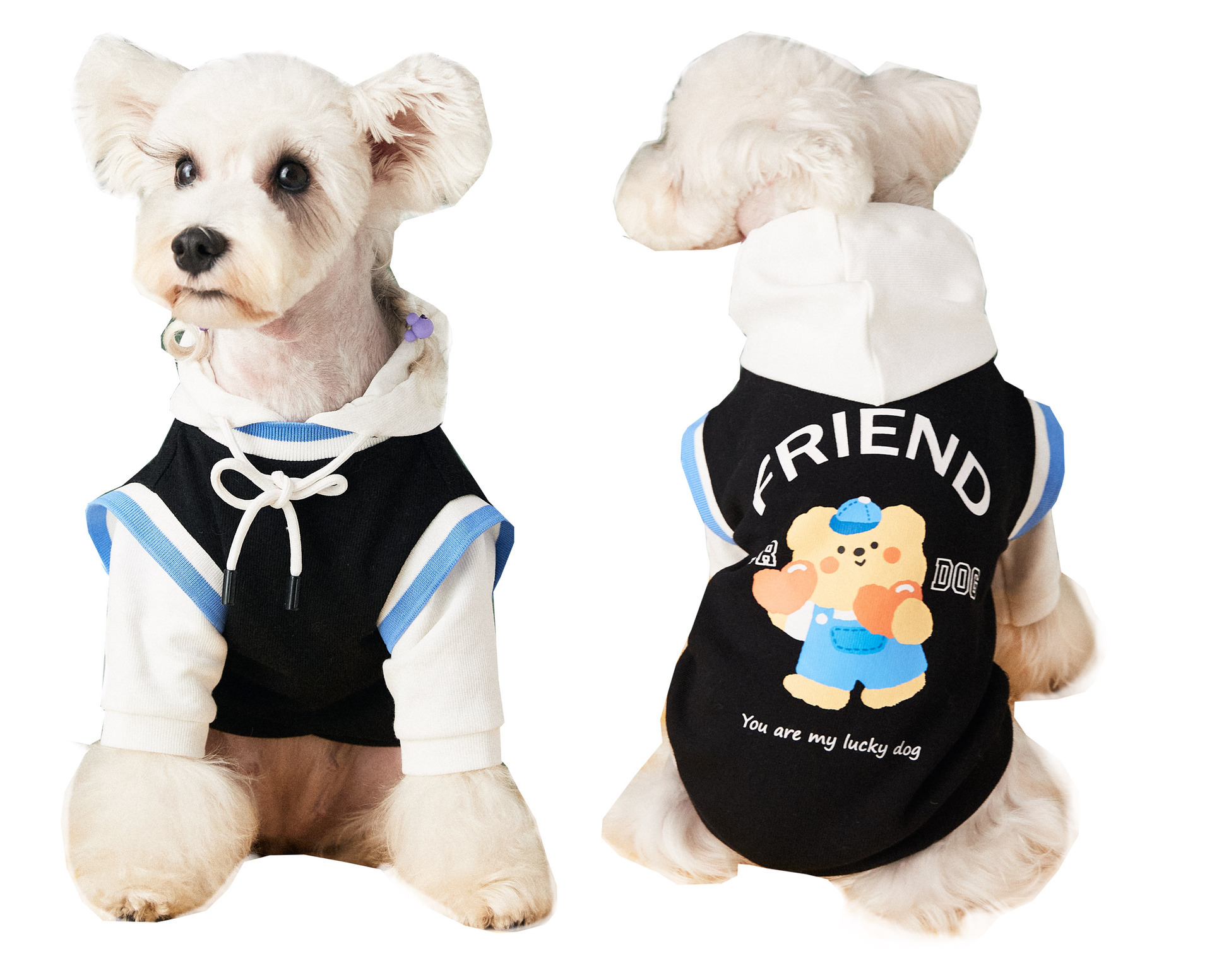 Fashion Stitching Contrast Color Fake Two-piece Puppy Sweater - Image 5