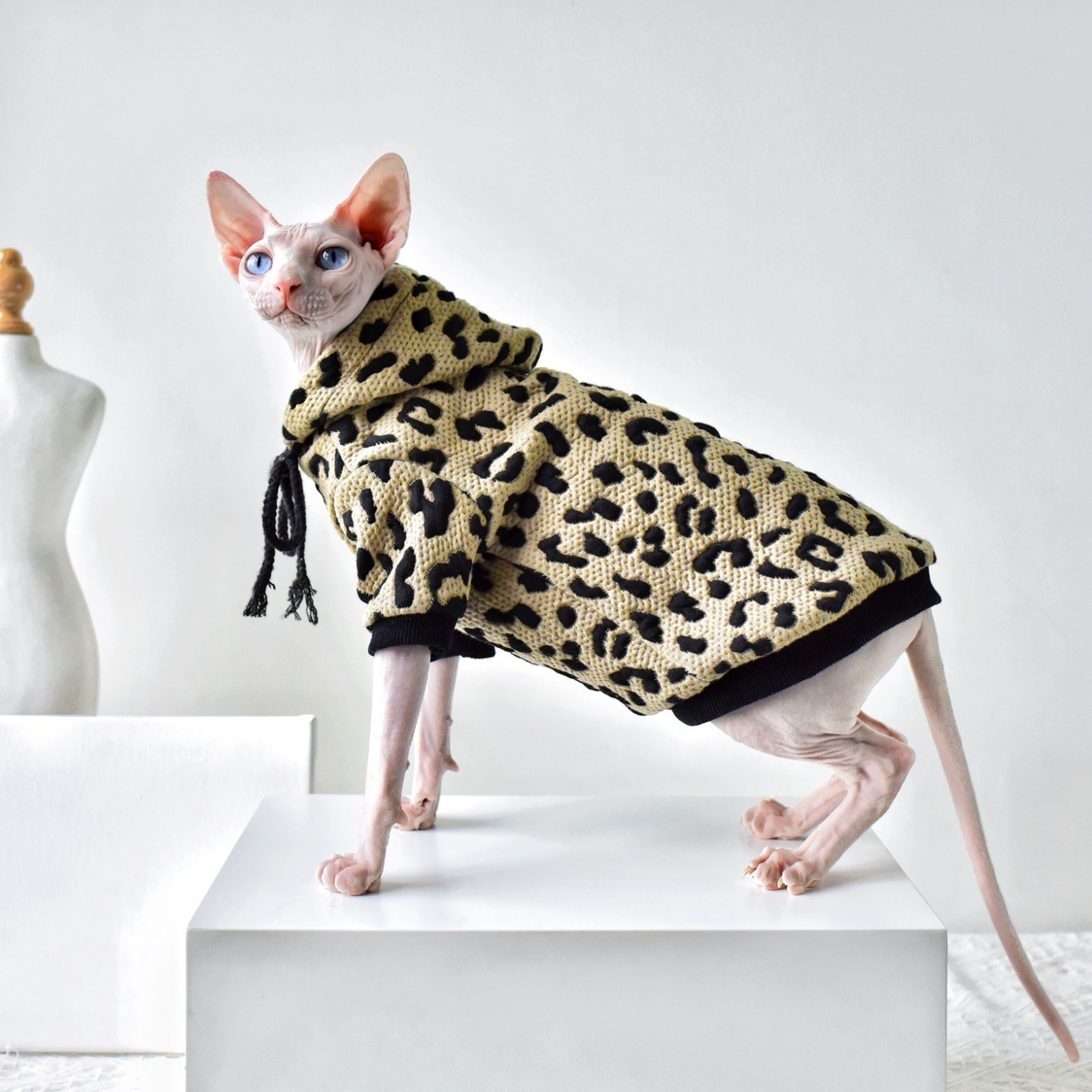 Light Cat Cotton Camouflage Sweater - Image 4