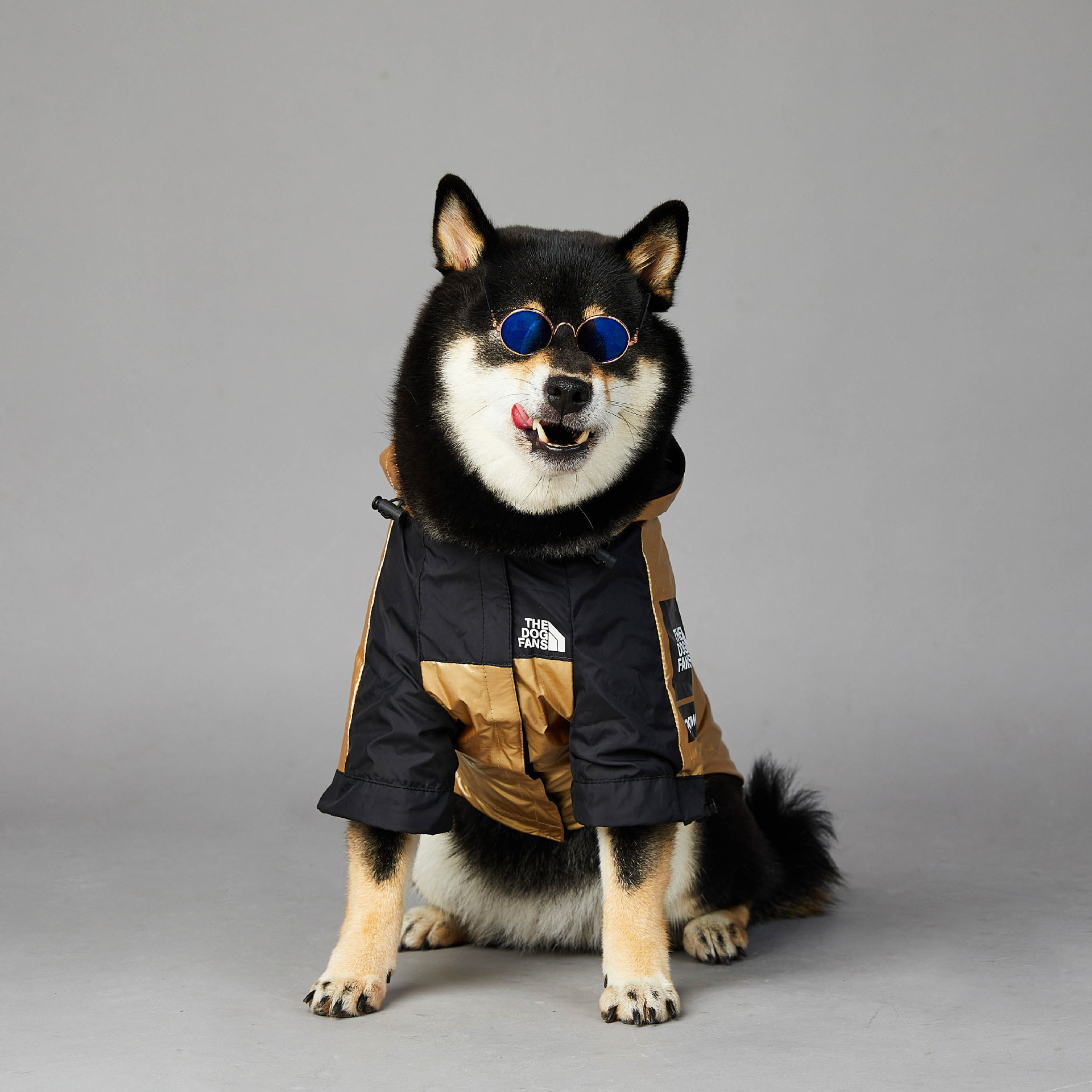 Puppy Jacket - The Dog Fans - Image 4