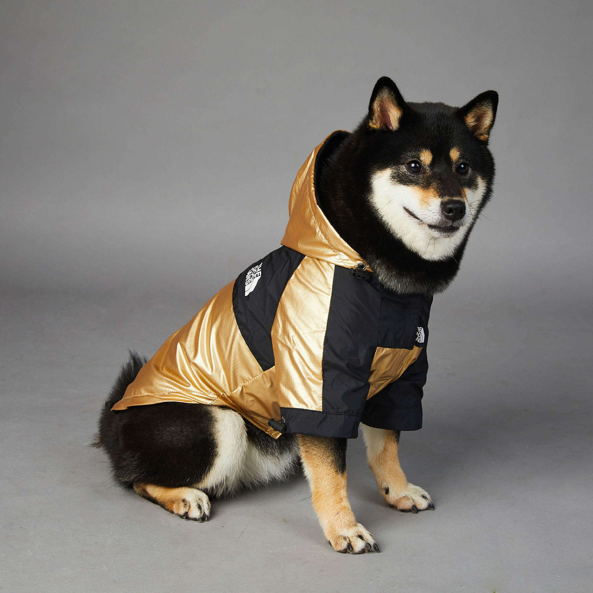 Puppy Jacket - The Dog Fans - Image 3