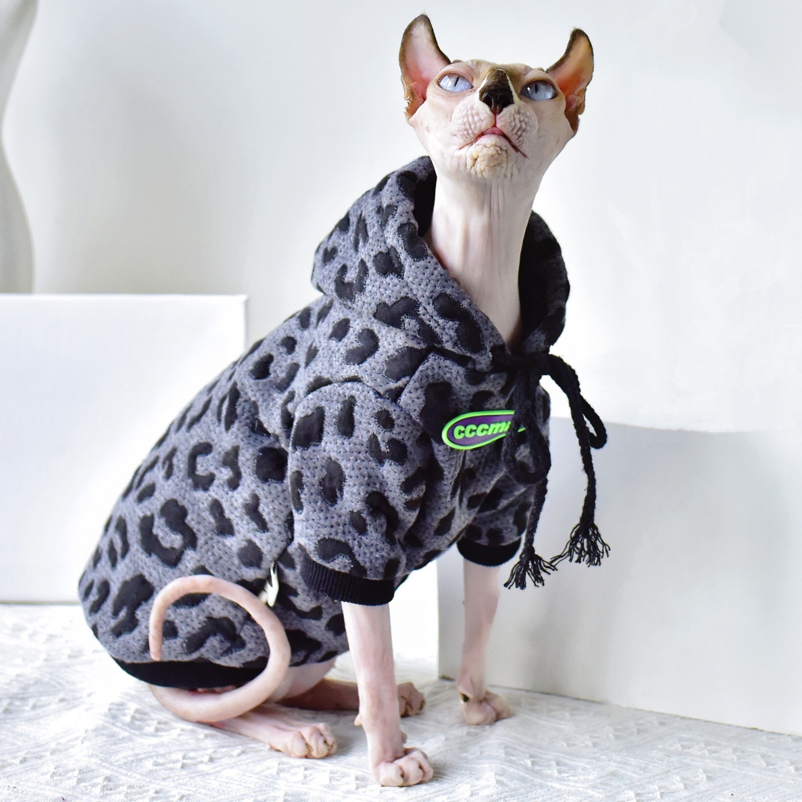 Light Cat Cotton Camouflage Sweater - Image 3