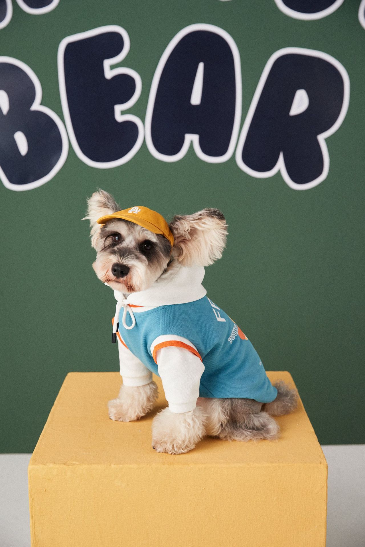 Fashion Stitching Contrast Color Fake Two-piece Puppy Sweater - Image 4