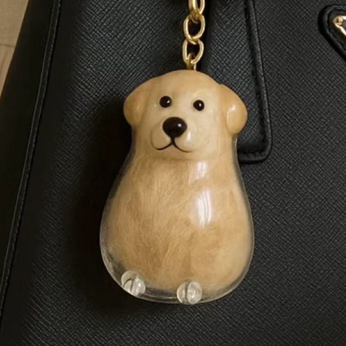 Transparent Case Fuzzy Ball Pendant - Image 10