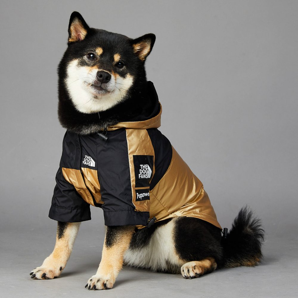 Puppy Jacket - The Dog Fans