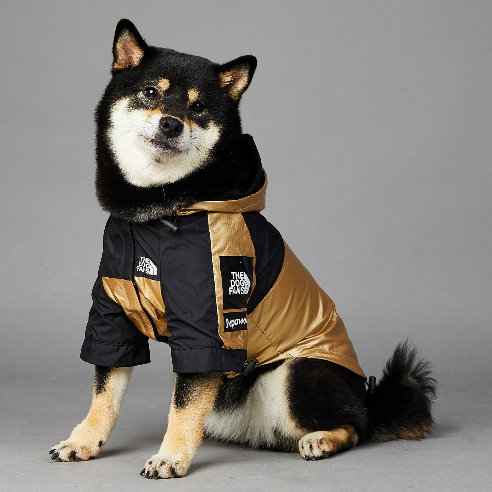 Puppy Jacket - The Dog Fans