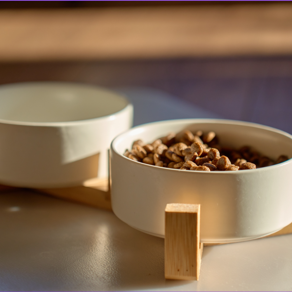 Bowls & Slow Feeders